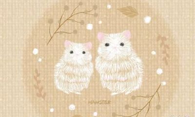 属鼠不宜去的方位 不同生肖有什么居住方位讲究