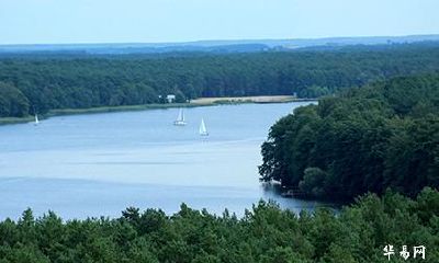 属鼠已婚女人出轨的表现_属鼠女容易出轨的年龄