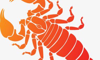 天蝎系列(固定星座)