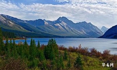 2023属鼠已婚女今年可以买彩票吗