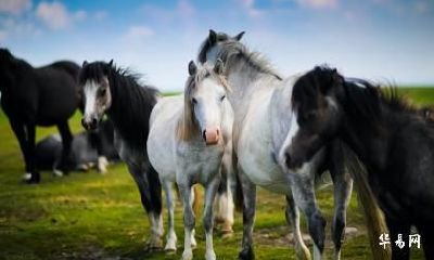 1990年属马在2023年最危险的一个月是几月