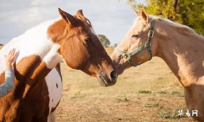 农历几月是1942年属马在2023年最危险的一个月