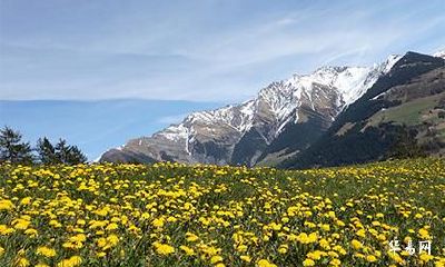 已婚属虎男2023年烂桃花_2023年属虎爱情劫难