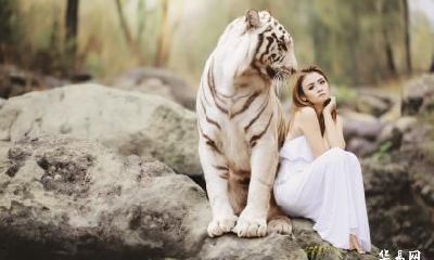 2023年农历十一月哪天是属虎人的领证吉日？