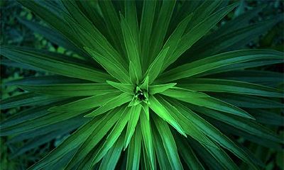 2022年冬季开张开业黄道吉日查询