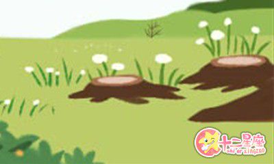 山水清澈2016年9月生肖猴运势