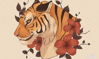 金虎是哪一年出生的 金虎是什么命运