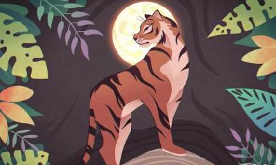 火虎是哪一年出生的 火虎是什么命运