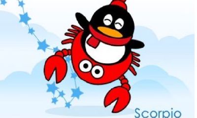 天蝎座的韩版兔宝贝