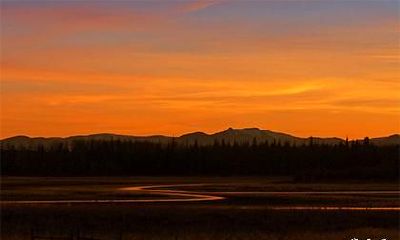 已婚属虎男2023年会离婚吗_2023年属虎男人运势详解