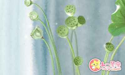 赖国光2016年9月生肖猴运势