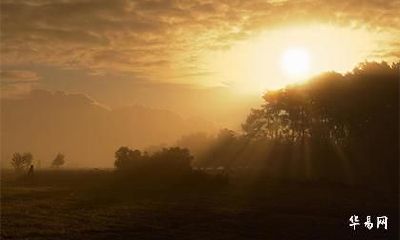 1990年属马路旁土命财运如何_做什么生意旺