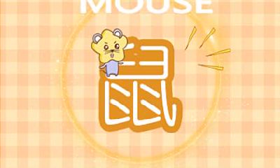 今日特吉生肖小运播报2021年4月8日