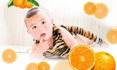 蛇年女宝宝起名取名陈大全