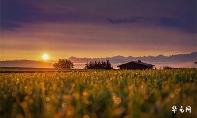 已婚属鼠女2023年财运怎么样_今年穿什么颜色旺财