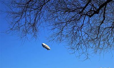 女猴大男猴小的婚姻命运_92属猴人命里带二婚