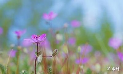 80年属猴有牢狱之灾吗_80年属猴的幸运数字和颜色