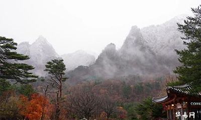 93鸡剑锋金可以去南方吗_属鸡剑锋金忌讳什么行业