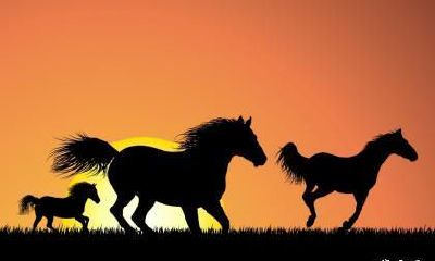 属马男比女生小两岁合适吗结婚好不好