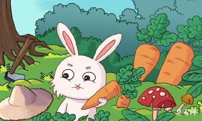 属兔女比属蛇男大两岁好吗 性格是否相合