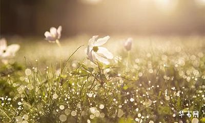 已婚属虎今年婚姻状况怎么样2023婚姻运势