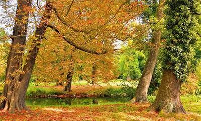 已婚属虎男1962和属猴女1968会离婚吗