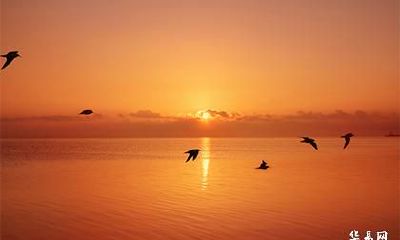 已婚鼠男对异性忽冷忽热什么原因