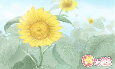 属猴人2019年整体运势