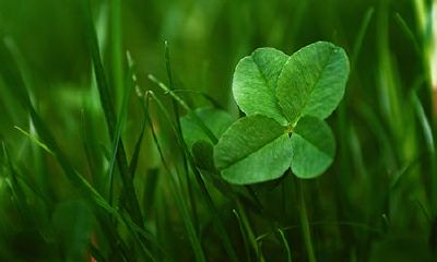 属猴射手座2022年运势