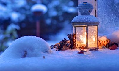 属猴天秤座2022年运势