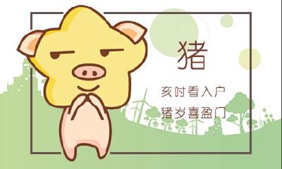 生肖猪运程 2020年7月属猪运势