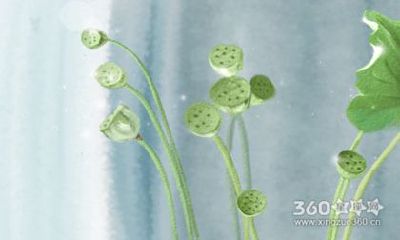 杨清华每周生肖运势【2017.5.8-5.14】