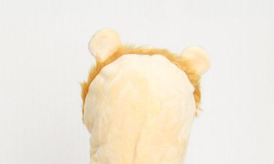 猴宝宝农历十二月起名取名