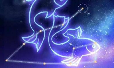 双鱼女如何在爱情上占优势