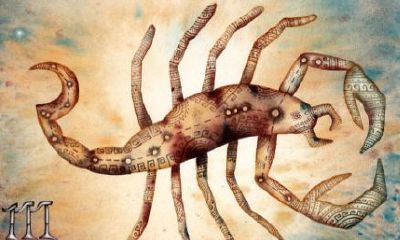 天蝎座因为啥而激情泯灭？