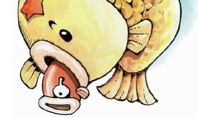 双鱼座图片大全【专辑72】