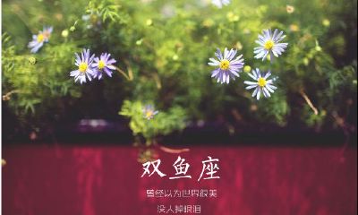 双鱼座图片大全【专辑9】