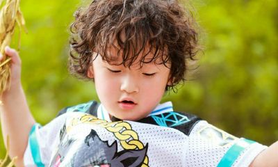 杨带晨的起名取名字鸡宝宝