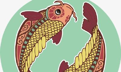 双鱼座爱情致命弱点：不切实际