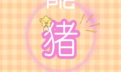 生肖猪运程 2020年8月属猪运势