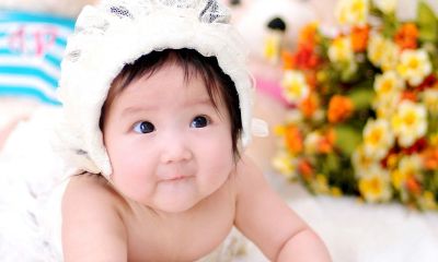 姓赵世男宝宝起名取名大全