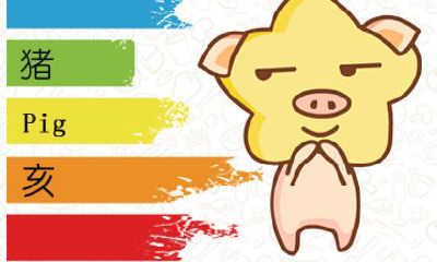 生肖猪月运势 2020年12月属猪运势