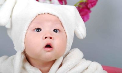 羊年芦姓男宝宝起名取名