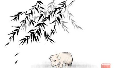 生肖猪男配生肖猪女 感情会越来越默契