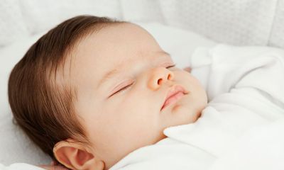 二月男鸡宝宝起名取名大全