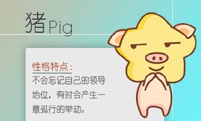 属猪人2019年2月整体运势