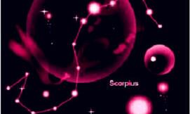 对于婚前试婚，天蝎座怎么看？