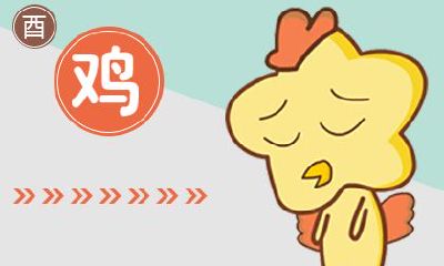 十二生肖财运2019年 生肖鸡的财运