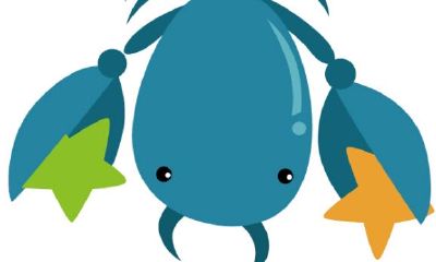 点评天蝎座一生的成败得失