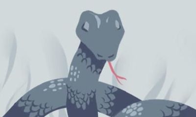 十二生肖运势2021 免费测试2021整体运势